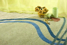 Area Rug Cleaning in Miami, FL